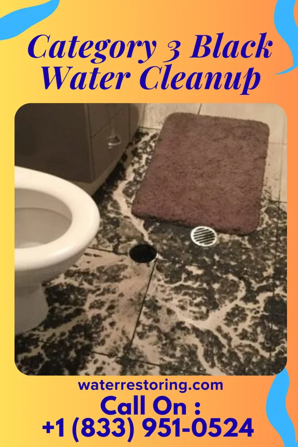 Category 3 Black Water Cleanup in Plum, PA