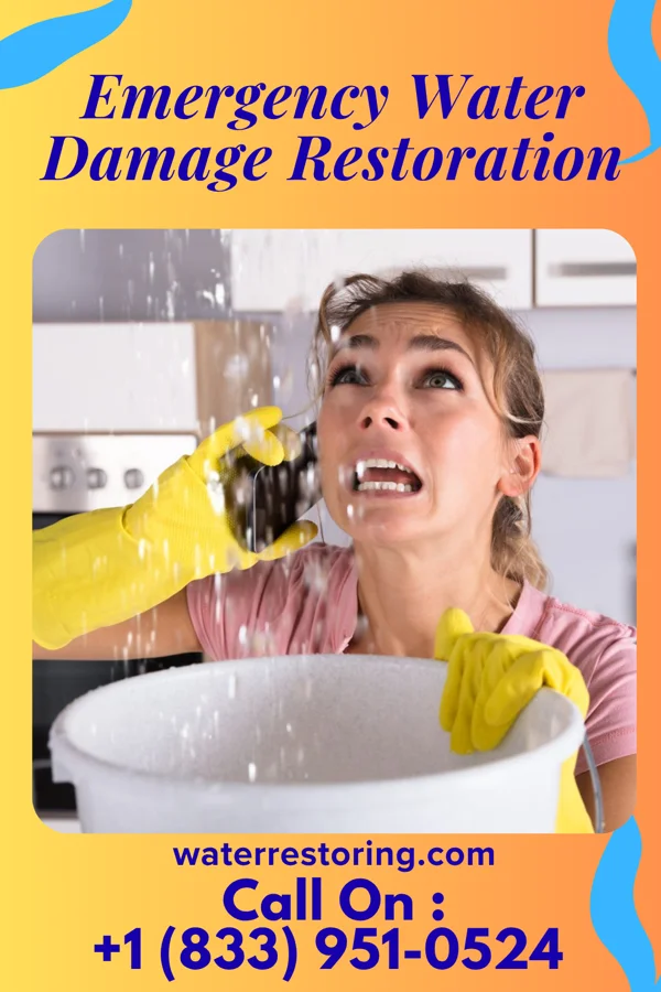 Emergency Water Damage Restoration in Plum, PA
