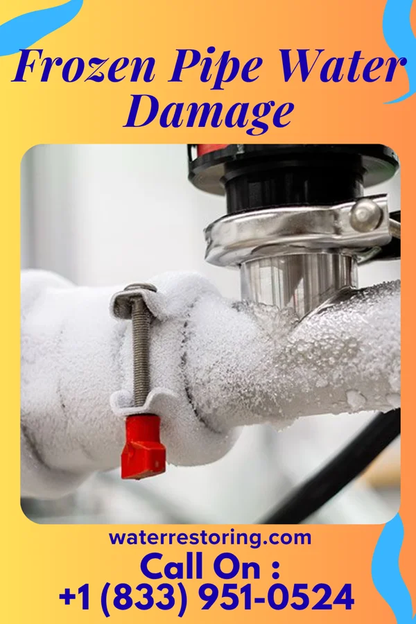 Frozen Pipe Water Damage in Plum, PA