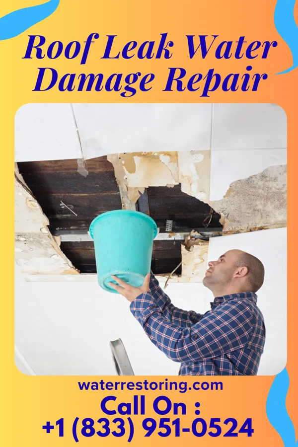 Roof Leak Water Damage Repair in Plum, PA