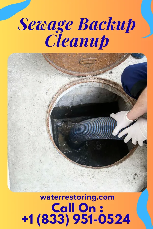 Sewage Backup Cleanup in Plum, PA
