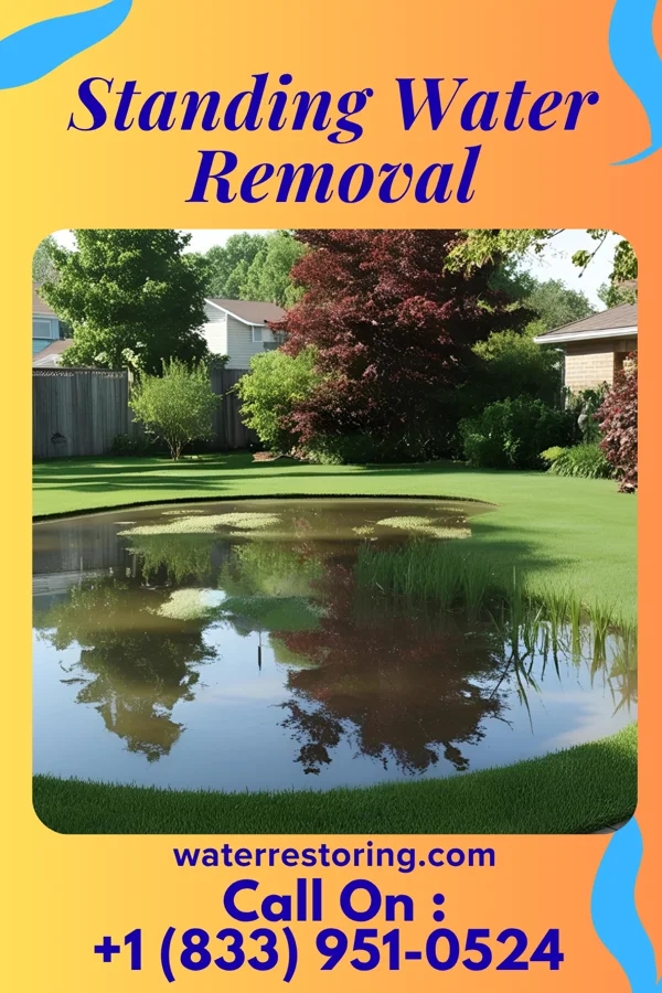 Standing Water Removal in Plum, PA